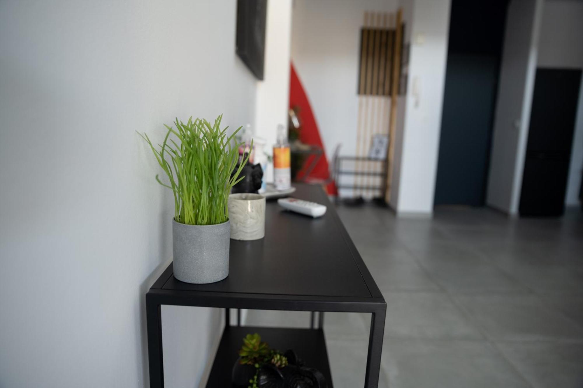 L'Elegance Citadine Appartement Cayenne Buitenkant foto